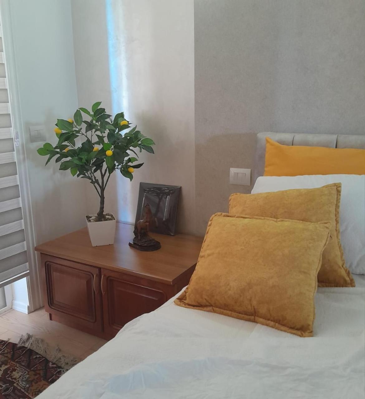 Bani'S Cozy Lovely Apt ティラナ エクステリア 写真