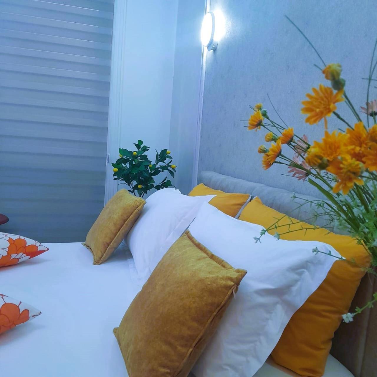 Bani'S Cozy Lovely Apt ティラナ エクステリア 写真